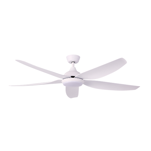 STAR-5