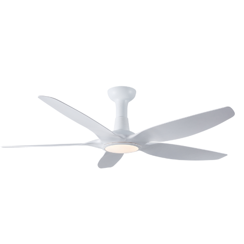 RAPTURE Matte W